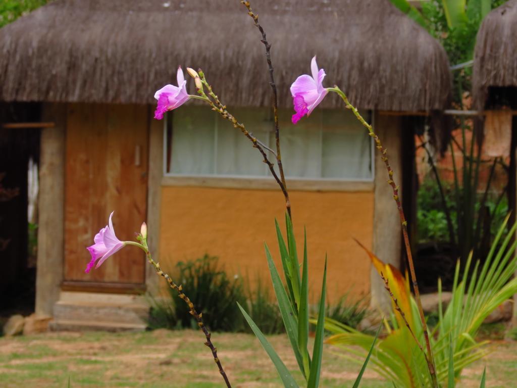 Pousada Bangalo De Barro Paraty Luaran gambar
